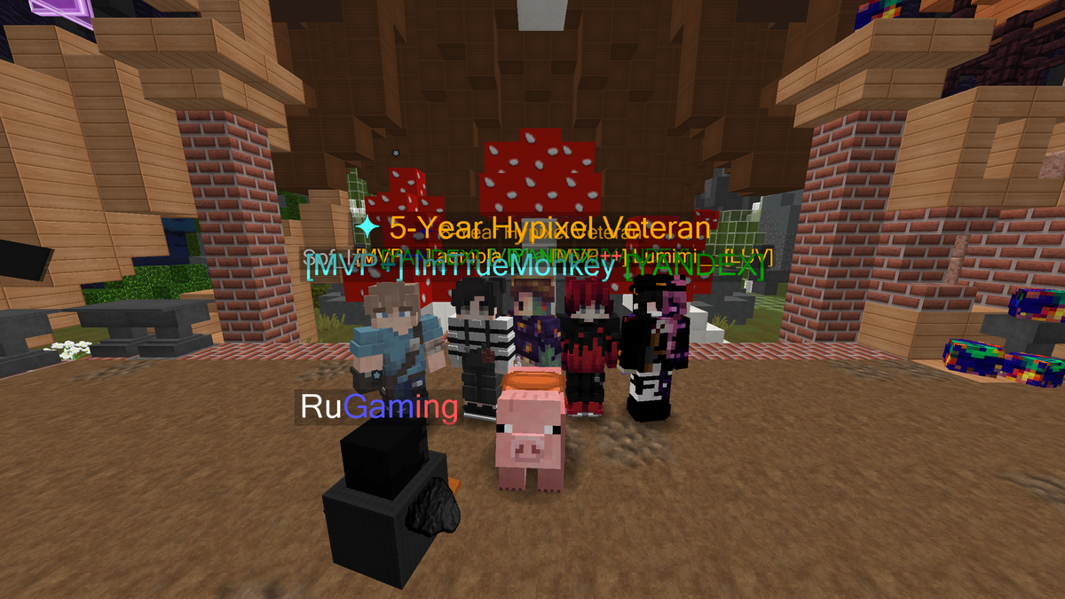 🎮 Совместная игра в Disasters на Hypixel! 🌪️