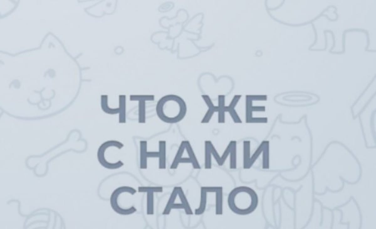 Можно оставлять заявку начиная