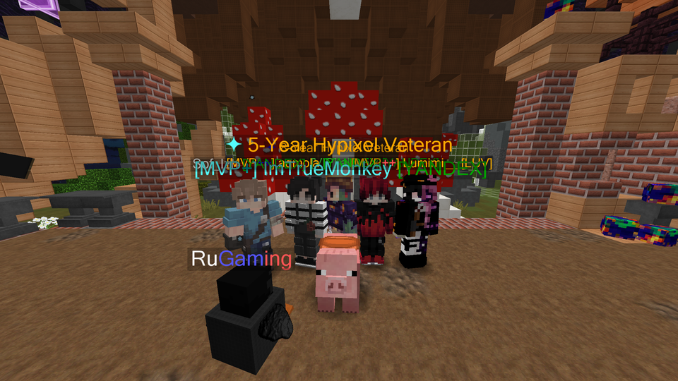 🎮 Совместная игра в Disasters на Hypixel! 🌪️