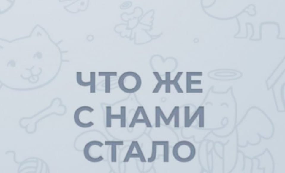 Можно оставлять заявку начиная