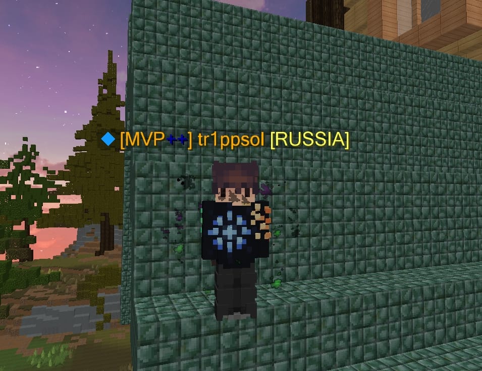 Tr1ppsol получил синие плюсы!